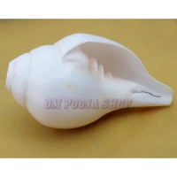 Original Blowing (Bajane Wala) Shankh